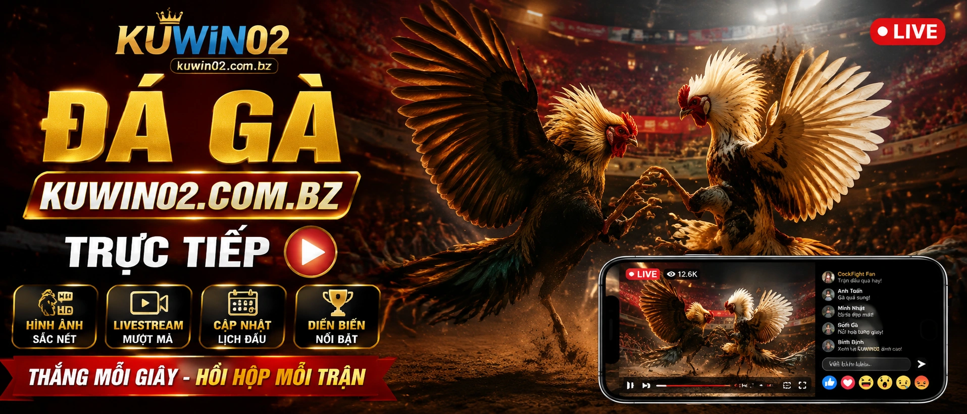 Đá Gà Hub Kuwin02